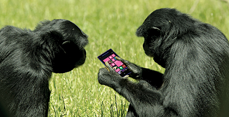 Testing mobile apps is no mere monkey business - SD Times