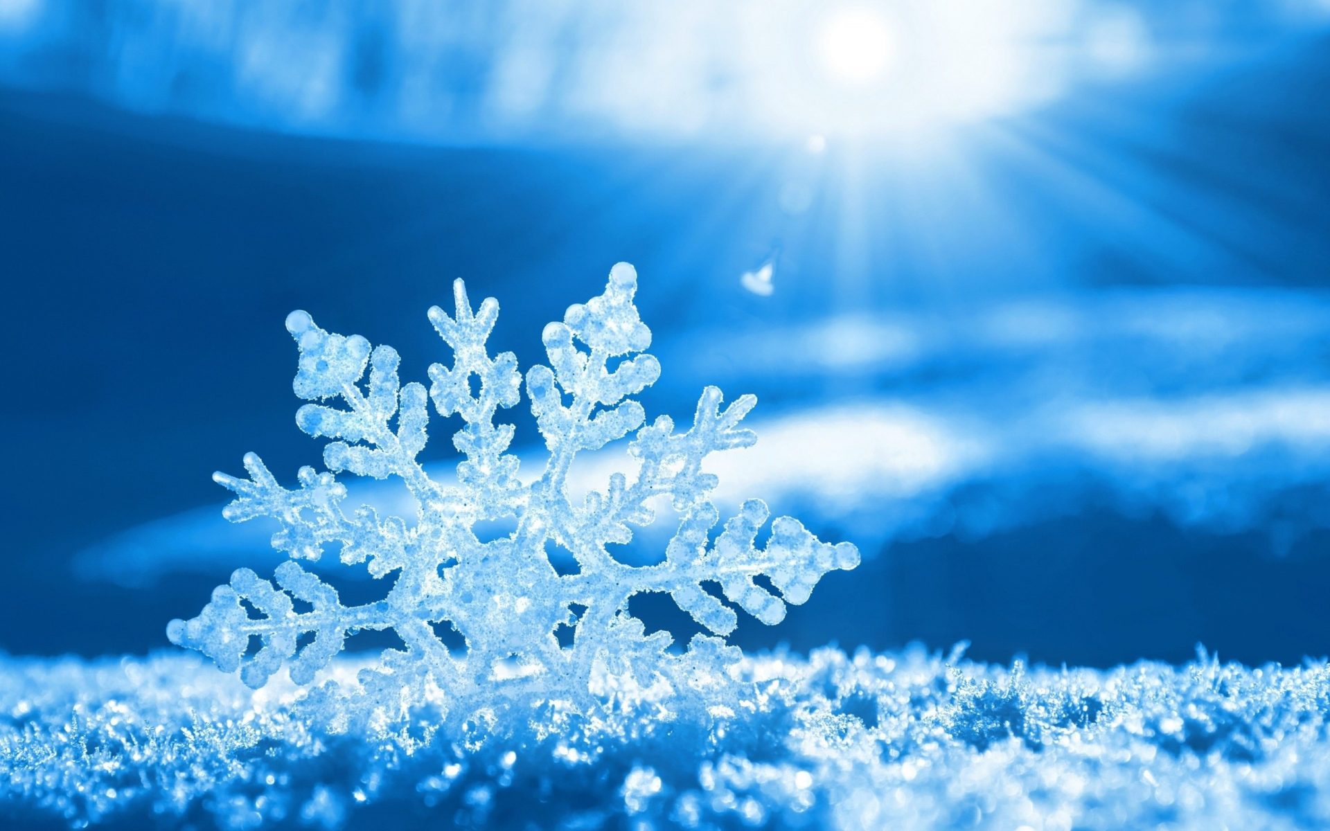 Snowflake Offers Cloud Data Warehouse As A Service Cheaply Sd Times