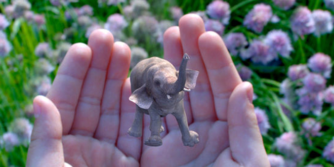 magic-leap-elephant-hands-augmented-reality