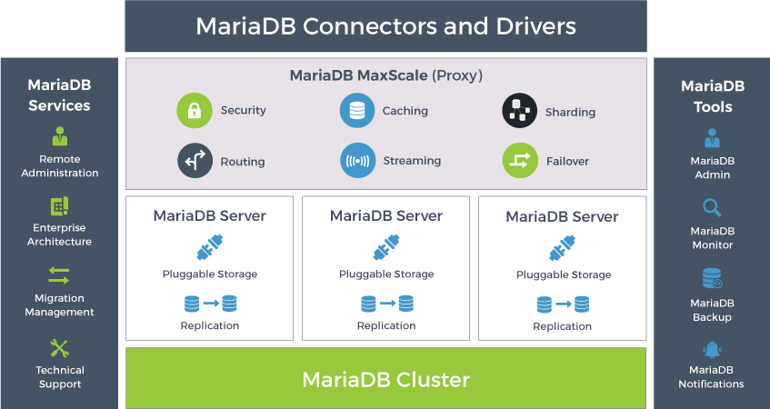 MariaDB