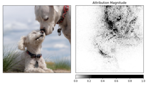 Captum in PyTorch 1.3 shows computed feature attributions