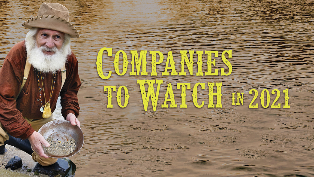 Companies to Watch in 2021