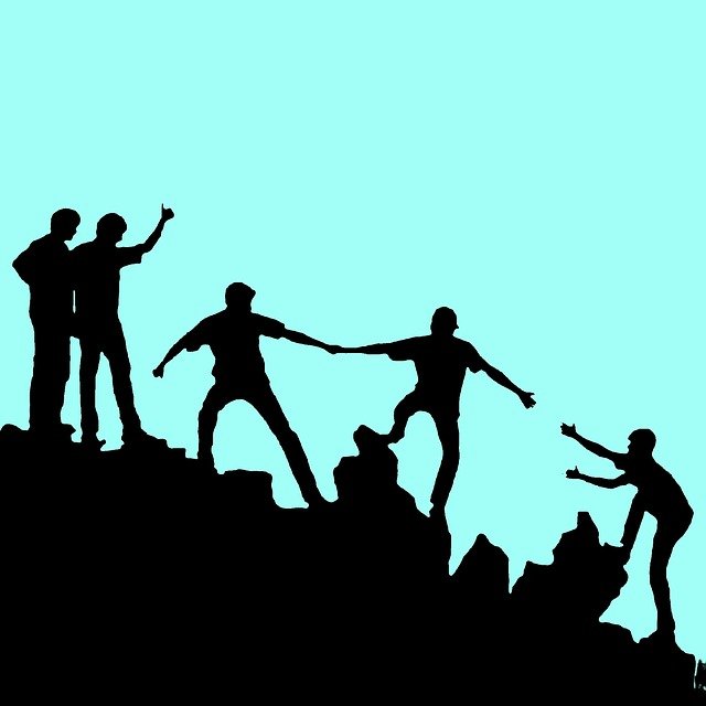 How does your solution help organizations implement automated testing?