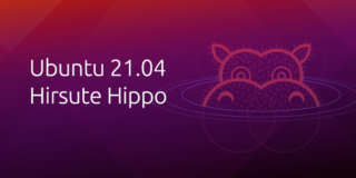 Ubuntu 21.04, also called Hirsute Hippo