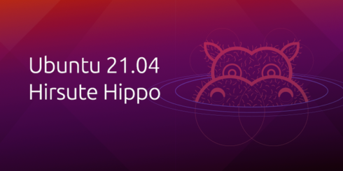 Ubuntu 21.04, also called Hirsute Hippo