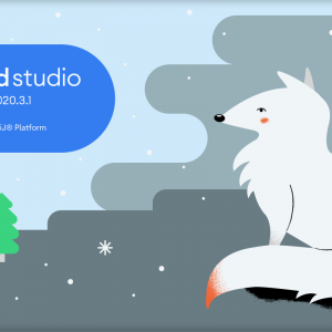 Android Studio Arctic Fox art