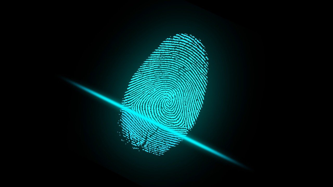 State of play across U.S. biometric privacy laws - Identity Week