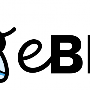 eBPF logo