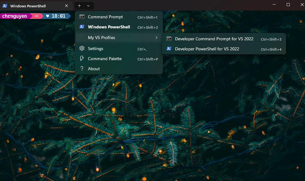 Home windows Terminal preview 1.17 provides capacity to customise dropdown menu