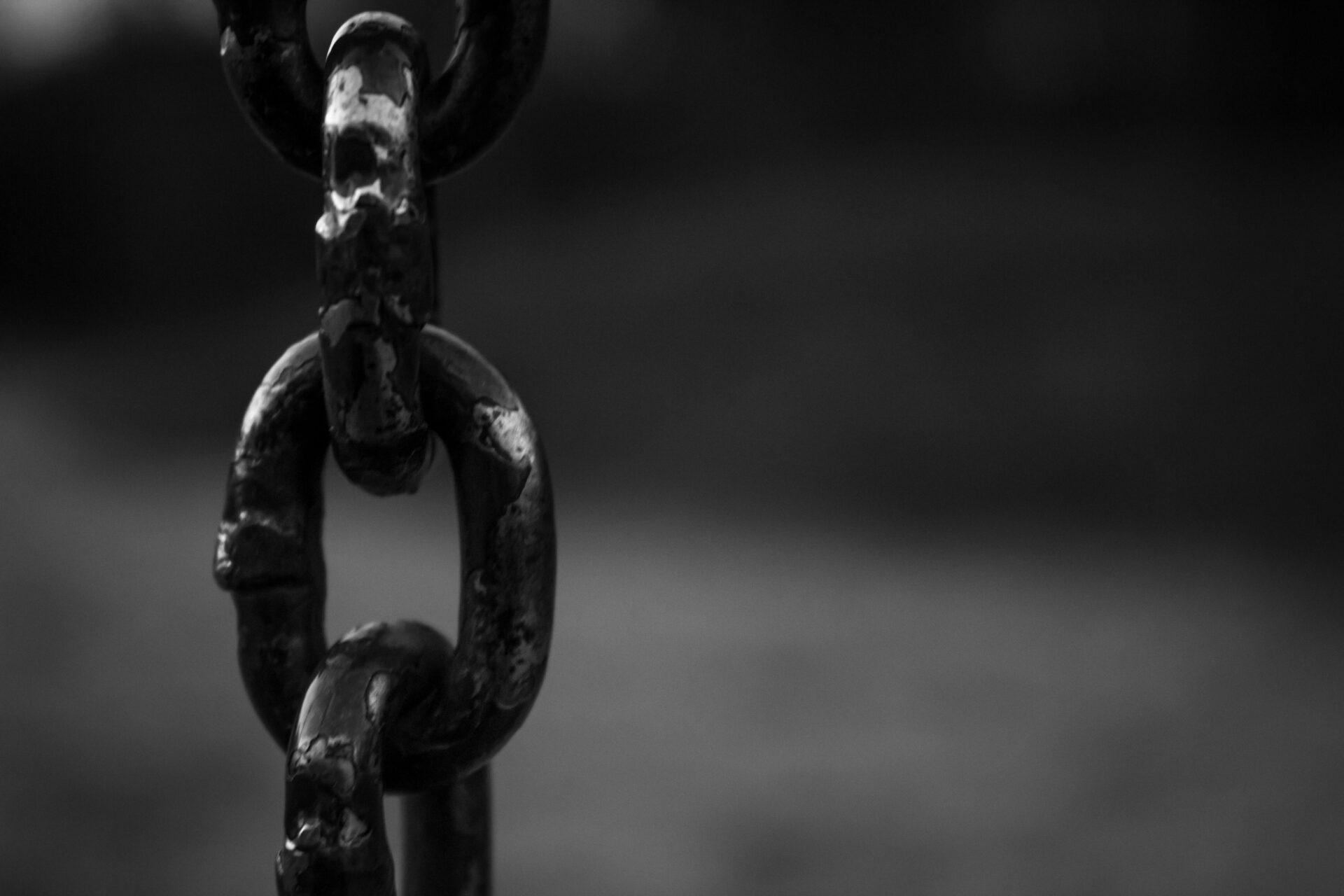 From SBOM to AI BOM: Rethinking supply chain security for AI native ...