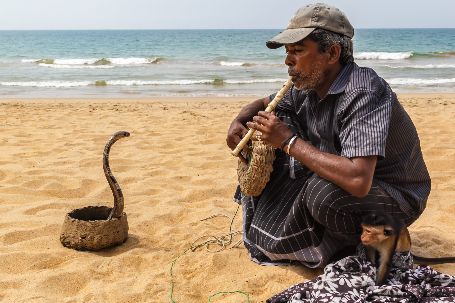 AWS Agent Registry: Taming Wild Agents AWS Agent Registry: Taming Wild Agents